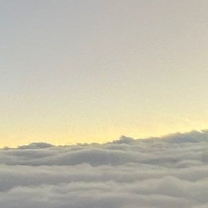 Meet your Posher, Daniela